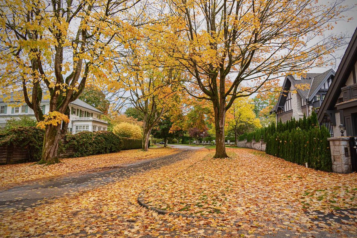 After all these years, it's been a quiet life, not one that likes to compete or change!