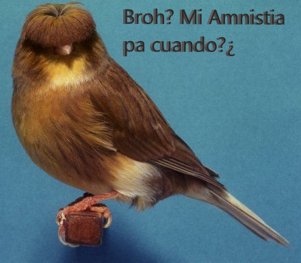 Vamos que se puede! #AmnistiaNO #Puigdemont #manifestacion #Constitucion #EspanaHaDespertado