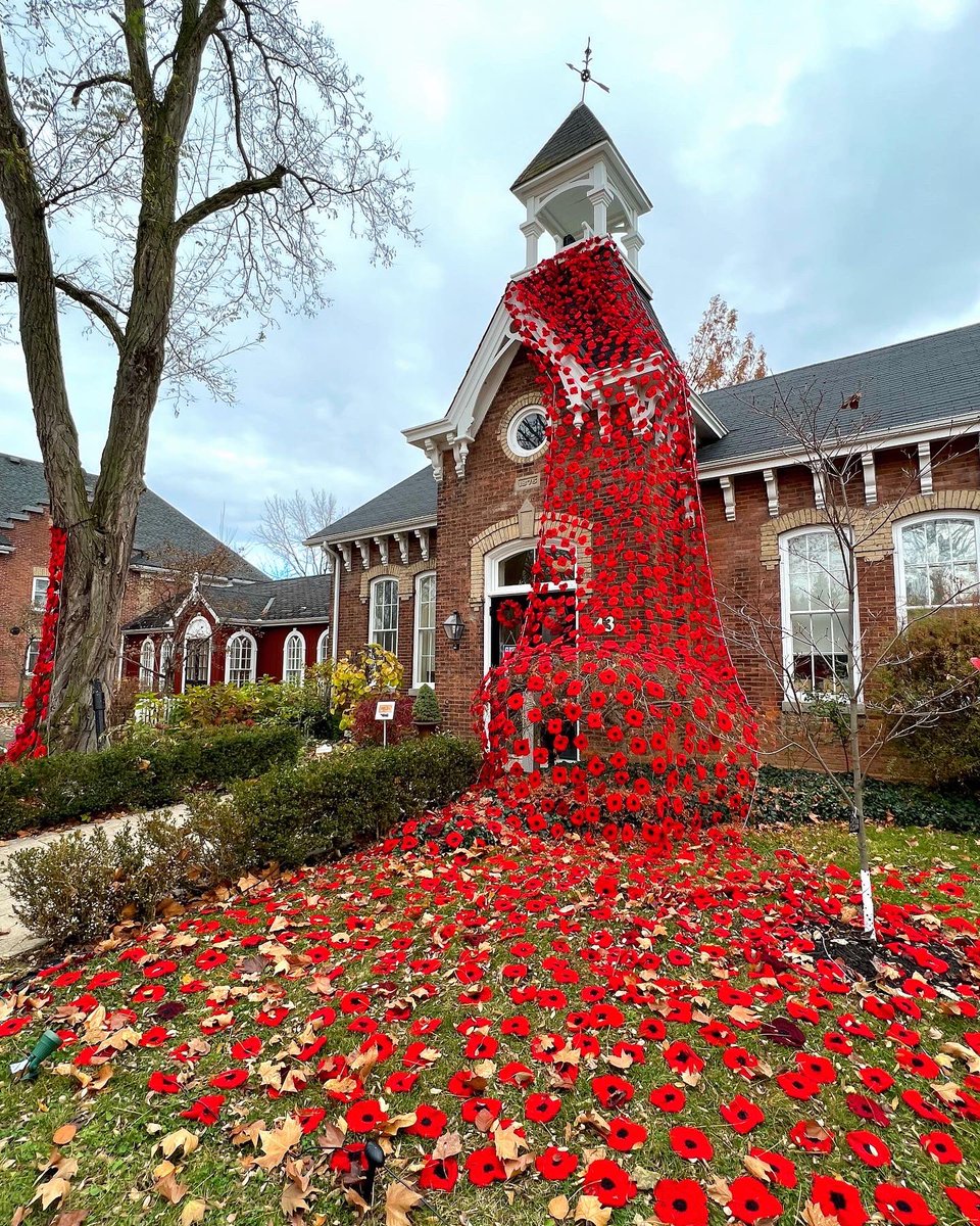 searchforsarah's tweet image. All week I’ll be sharing some must-see #PoppyProject displays in #Niagara ❤️

Today’s location is the @NOTLMuseum - one of my favourites. 

These beautiful hand-knit poppies are a powerful visual statement of respect and remembrance for those who have served our country.❤