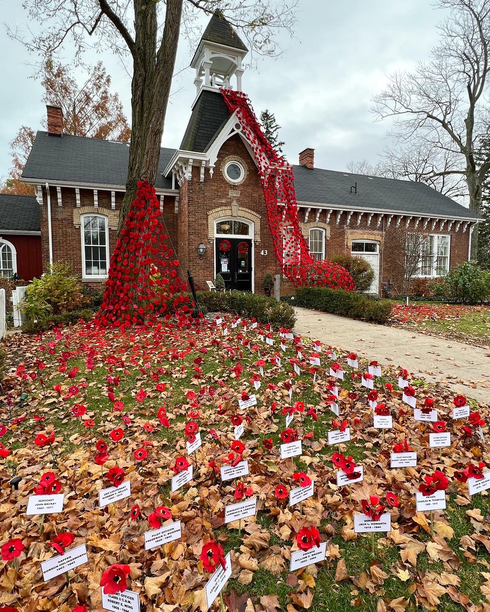 searchforsarah's tweet image. All week I’ll be sharing some must-see #PoppyProject displays in #Niagara ❤️

Today’s location is the @NOTLMuseum - one of my favourites. 

These beautiful hand-knit poppies are a powerful visual statement of respect and remembrance for those who have served our country.❤
