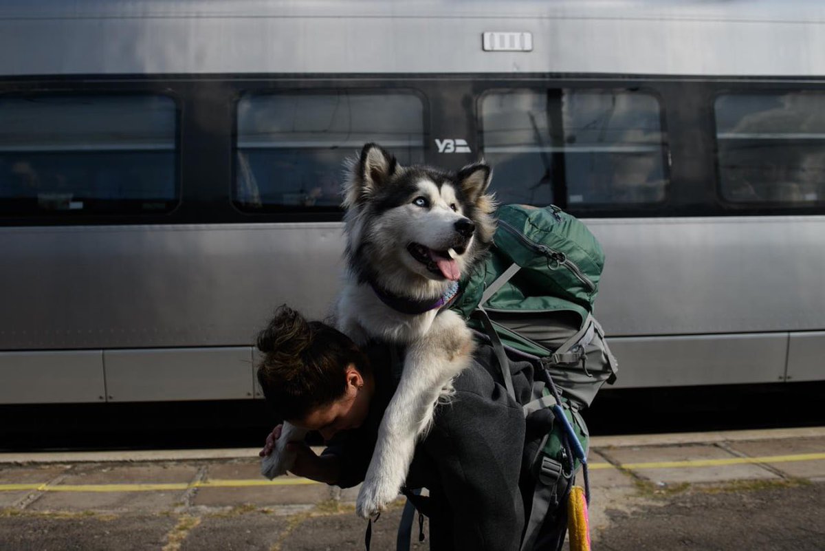 TreasChest's tweet photo. 🥰😍Just look at how cute it is.

This is Tiorda, a paramedic from Portugal, and her dog, Baby Devil.

Four-legged was rescued and taken out of Severodonetsk by Ukrainian troops, and later she became Tiordi's faithful friend🥹

📸: Olga Ivashchenko
Channel 24 https://t.co/ZVJbTKp2J3