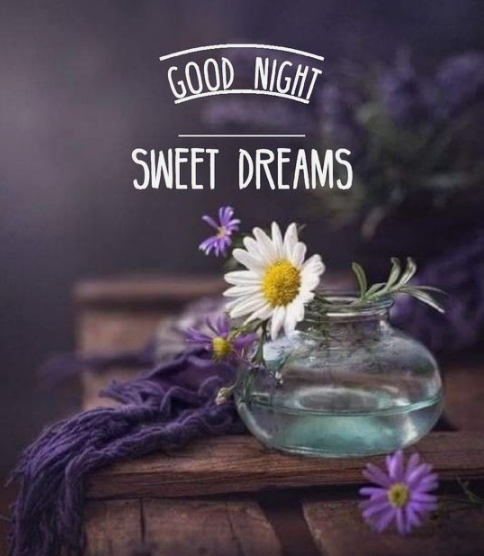 'Goodnight, everyone! 🌙✨ Wishing you peaceful dreams and a restful night. Remember to count your blessings before you close your eyes. 😴💫 #GoodNight #SweetDreams #SleepWell #RestfulNight #NighttimeBlessings #BedtimeBliss #Dreamland #NiteNite #SleepTight #NighttimeWishes