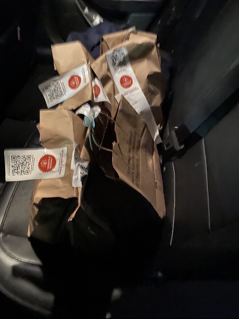 Paradise tweet media