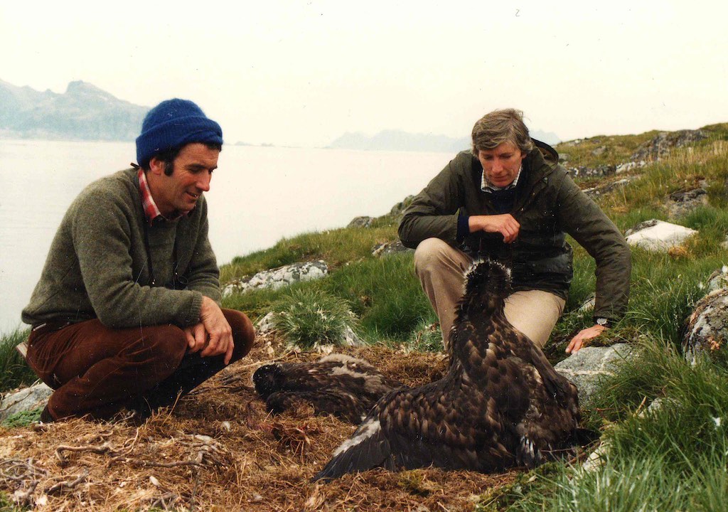 We were deeply saddened at the recent death of John Love. John was a true champion of White-tailed Eagles and played a key role in the Scottish reintroduction. @royhdennis gave a tribute at John's funeral yesterday, which you can read on our website here: roydennis.org/2023/11/07/a-t…