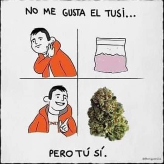 Marihuano pero sin vicios