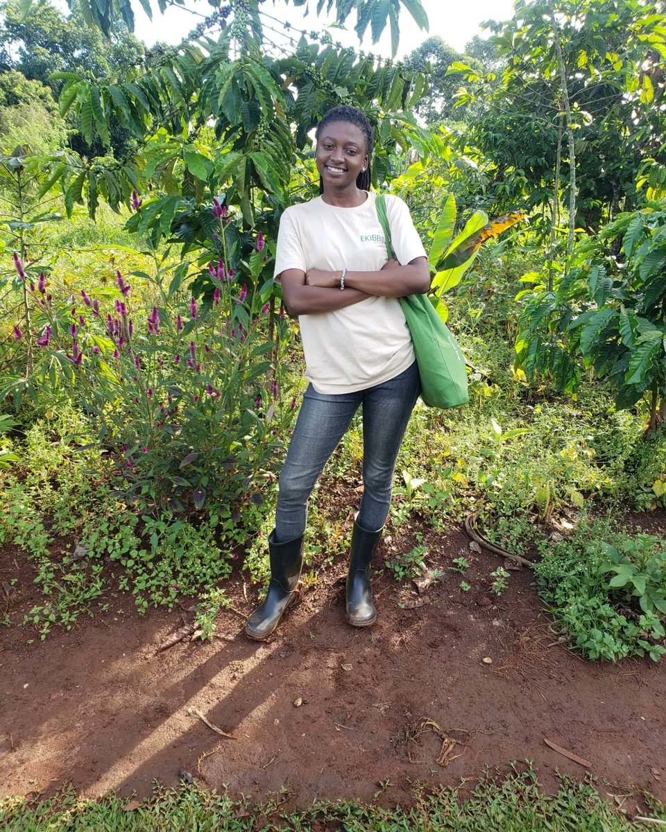 Dear beautiful farmers out there, 
The rainny season is here !
High time we sow wisely 
Not forgetting soi and  water conservation measures  in our fields.
For continuous production soil fertility  management  is important!
You will thank me later 🌱🌱@Sustainableagriculture