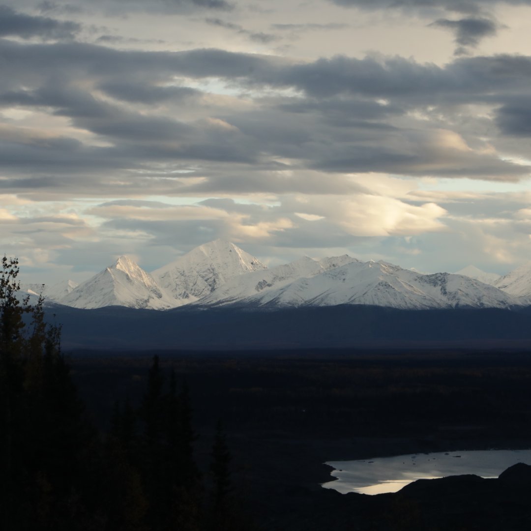 Life Below Zero tweet media