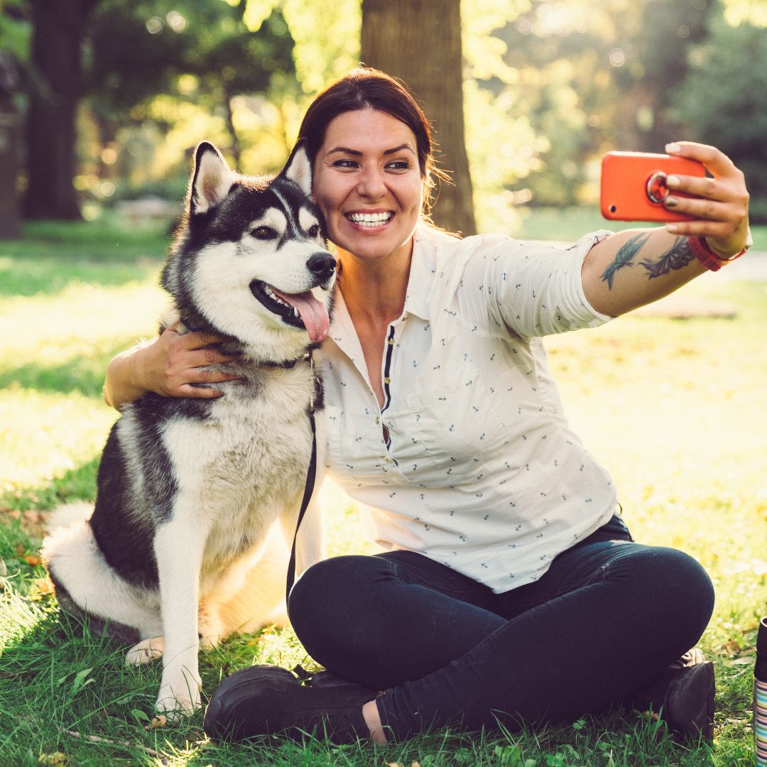 VetriMax's tweet photo. What's your favorite thing about being a pet parent? Share your answer in the comments below! 

#veterinary #dogshampoo #puppyshampoo #shampoofordogs #vetlife #doghealth #dogskincare #dogskin #petcare #animalcare #animalmedicine #petparents #farmanimals #Vetrimax #crueltyfree ... https://t.co/MxlEkpQRwe