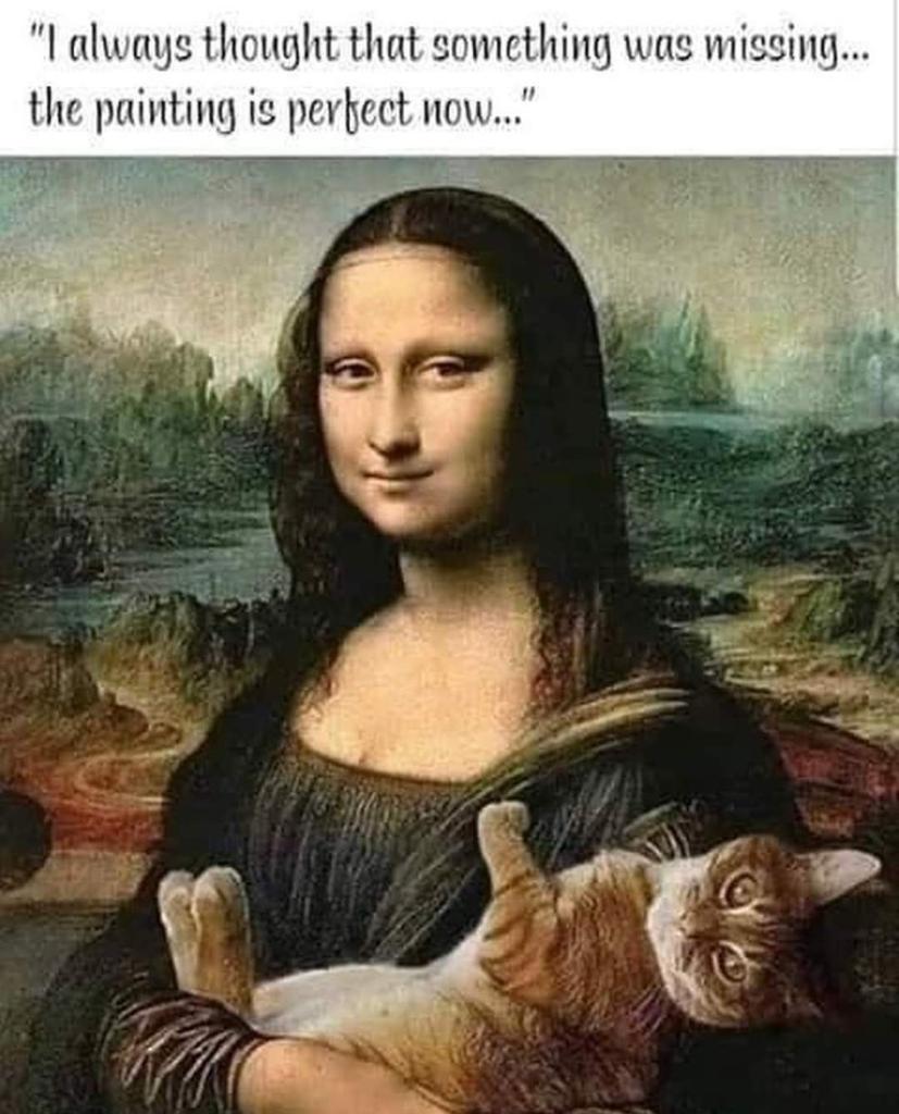 colours_13_8's tweet photo. Purrfect!!
🤣 https://t.co/XMy14YHx4W