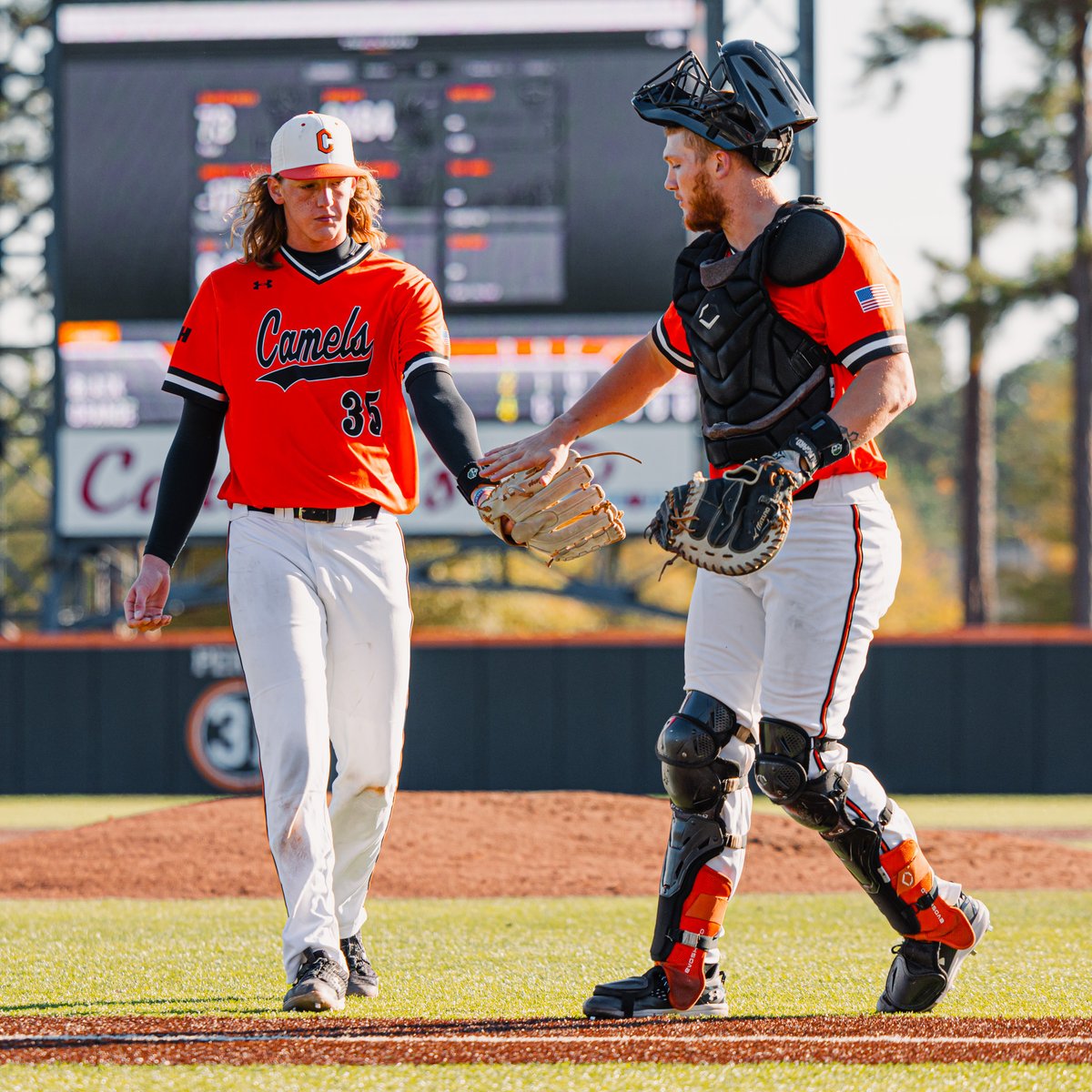 Campbell Baseball tweet media