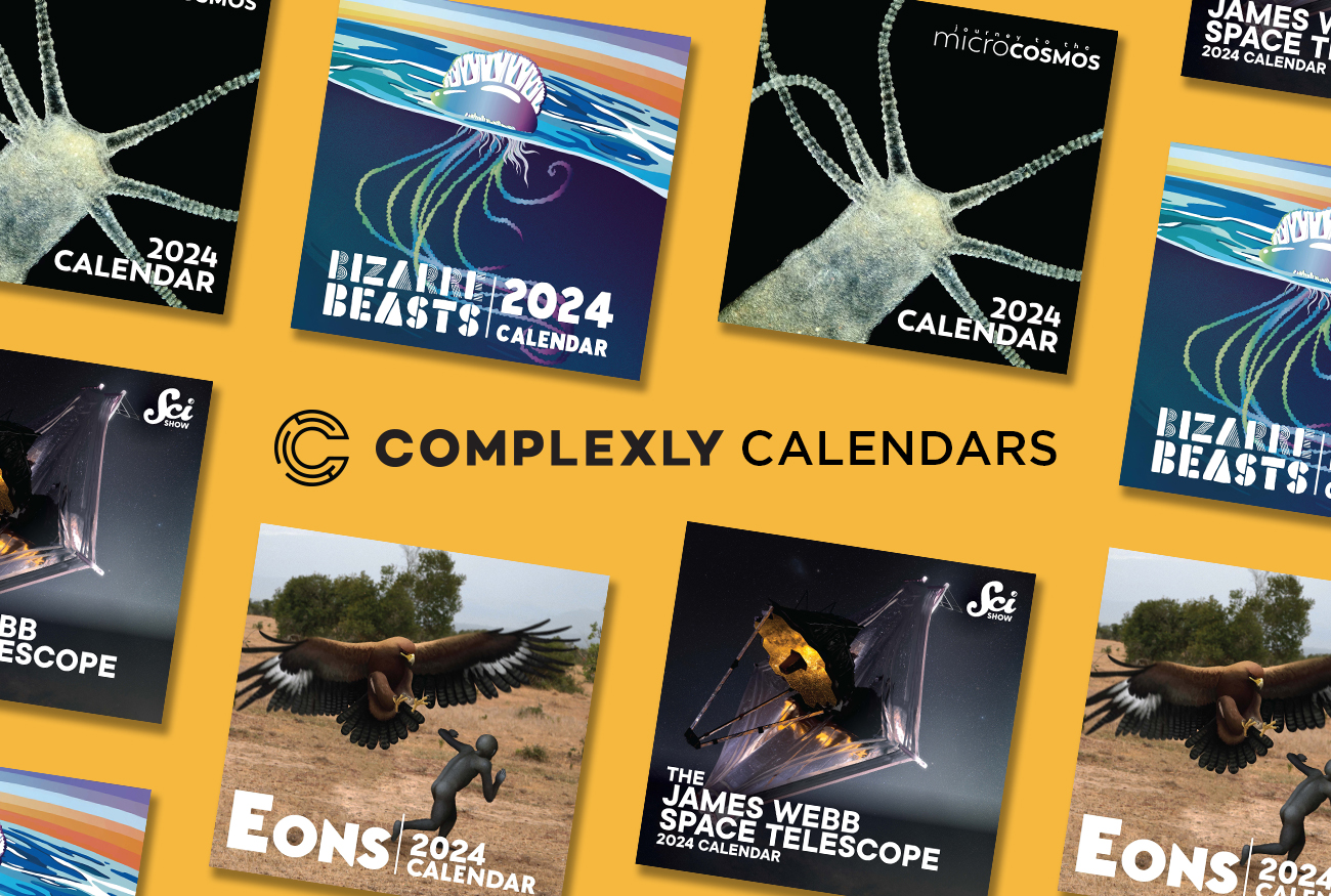 Dftba Calendar 2025 Cyndi Dorelle
