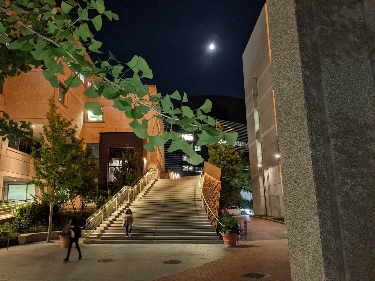 wallacelages's tweet photo. If you are interested in pursuing a PhD in #XR, consider applying to Northeastern's Interdisciplinary Design and Media PhD program. The deadline is December 1st.  https://t.co/enbBH9EG4I https://t.co/A6HsPVPa2X