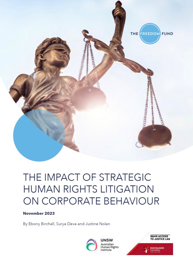 Our latest report, in collaboration with the @Freedom_Fund, looks at the impacts of #strategiclitigation on corporate behaviour. Authored by our director, Professor @justine_nolan, and #BizHumanRights experts @ProfSuryaDeva & @Ebony_Birchall. Read more: bit.ly/3SwLKRh