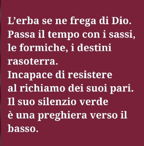 francomallone's tweet photo. https://t.co/7TjHJiaW0g