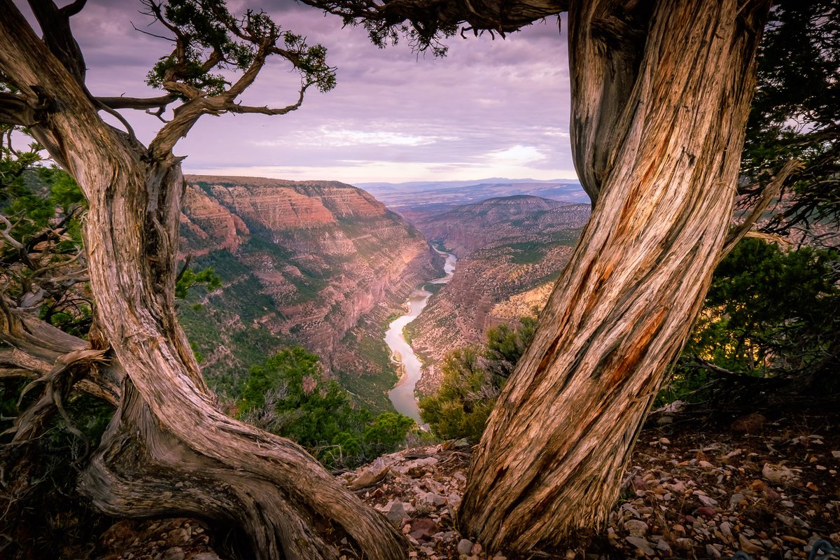 There are many incredible sights along the Green River in Dinosaur National Monument. As it flows from Colorado into Utah, the river passes through famous fossil finds, dramatic river canyons, intriguing petroglyphs and endless opportunities for adventure. Photo by Nancy Danna