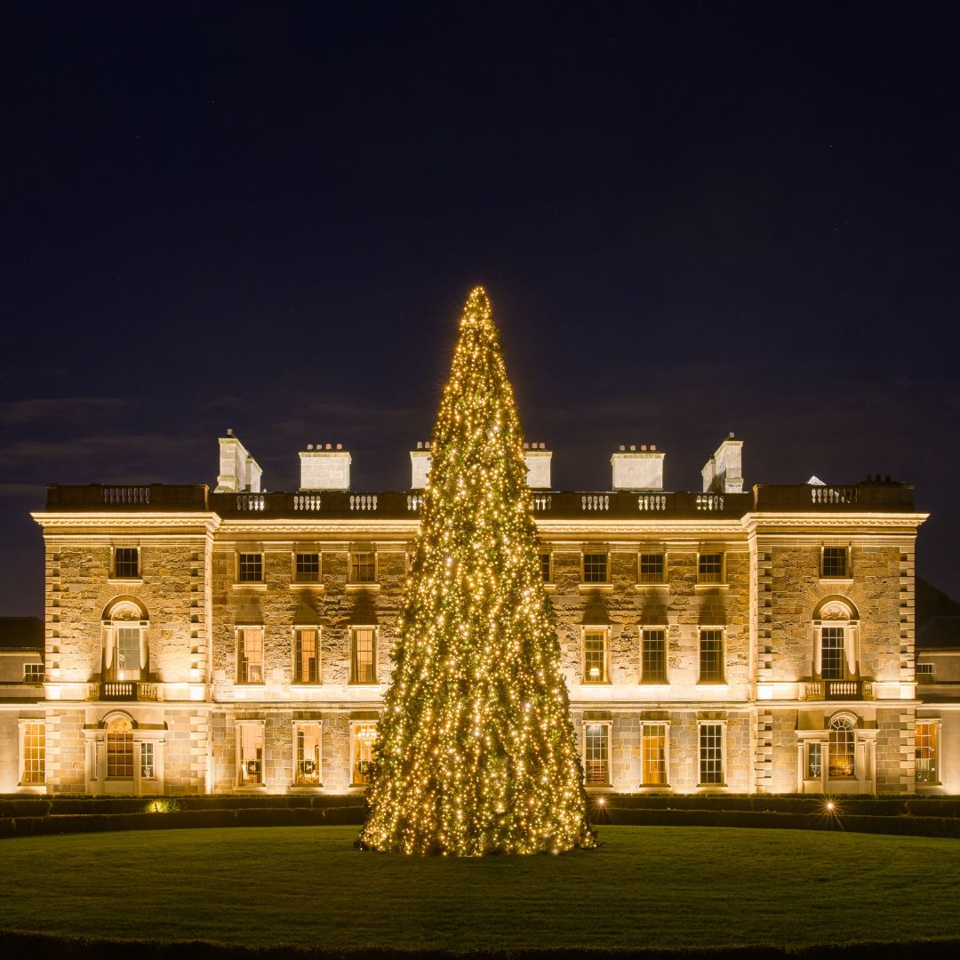 Ring in the New Year and celebrate in luxury at Carton House, Fairmont. Enjoy two nights' in our luxurious accommodation, dinner in The Morrison Room and breakfast in The House each morning. Explore Christmas at Carton House, Fairmont. Link in bio 🔗