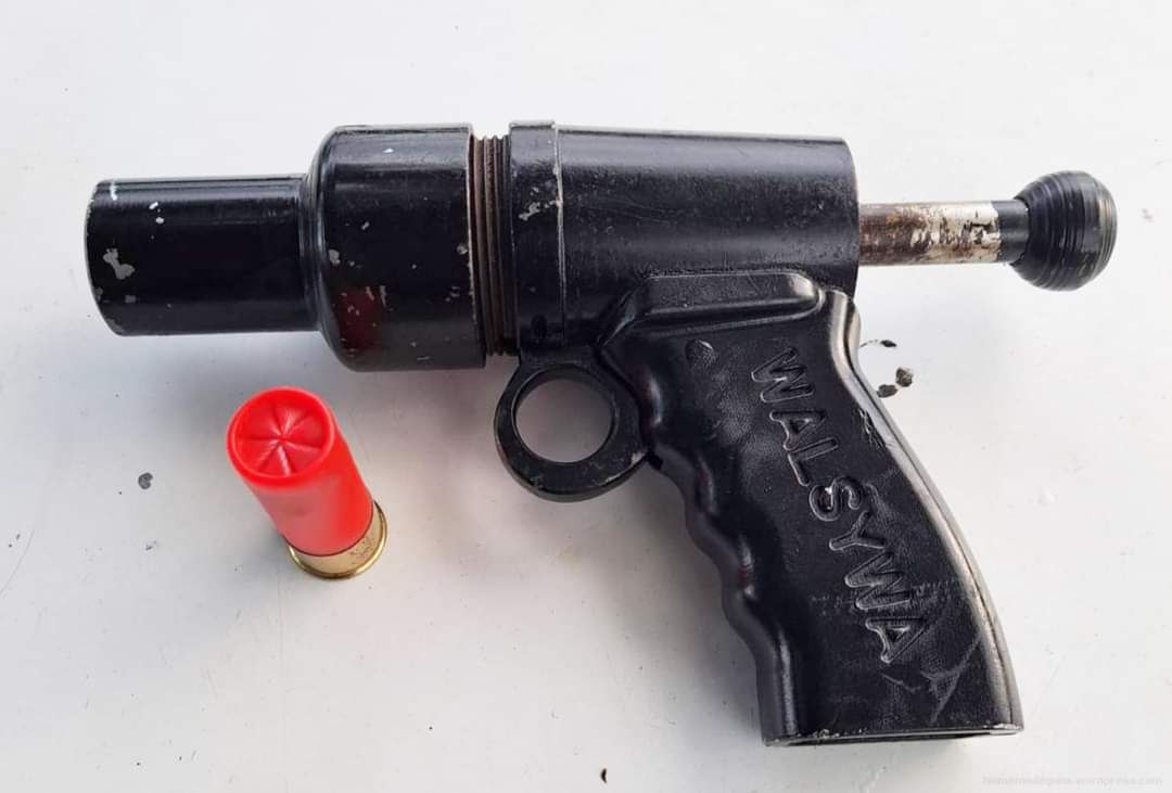 TheAngryHalibut tweet media