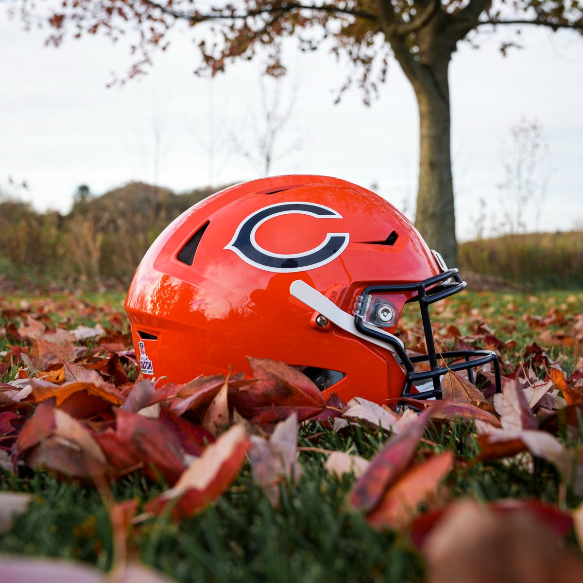 On Thursdays we wear orange 🔥