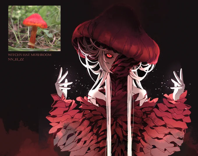 Witch's Hat Mushroom