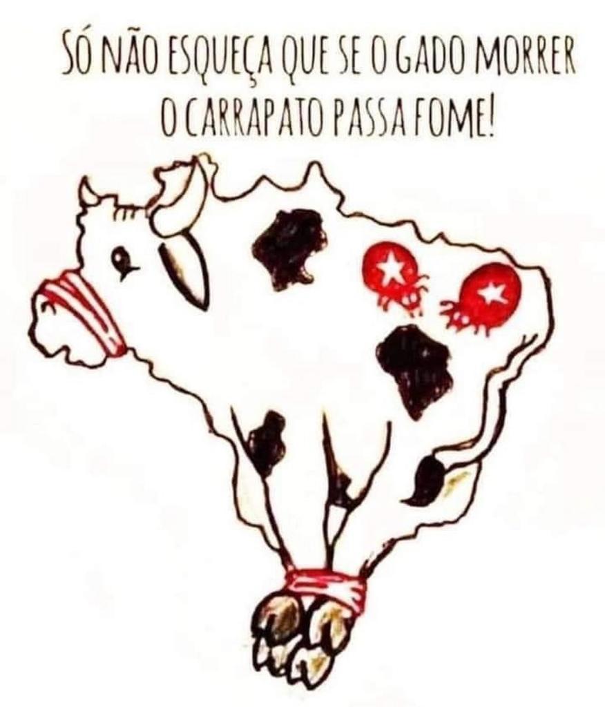 jorgeserrao's tweet photo. Se o gado morrer, o carrapato passa fome... https://t.co/t2ALIWNQ33