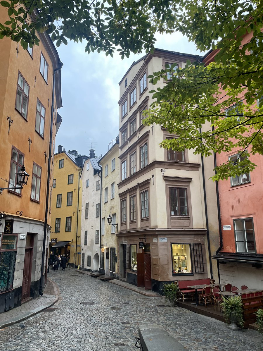 Marianne Donald tweet media