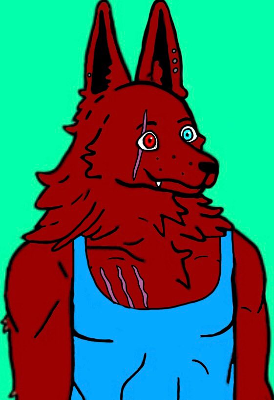 HusseyJacob's tweet photo. Characters appearance: https://t.co/qOAM4gaj6Y