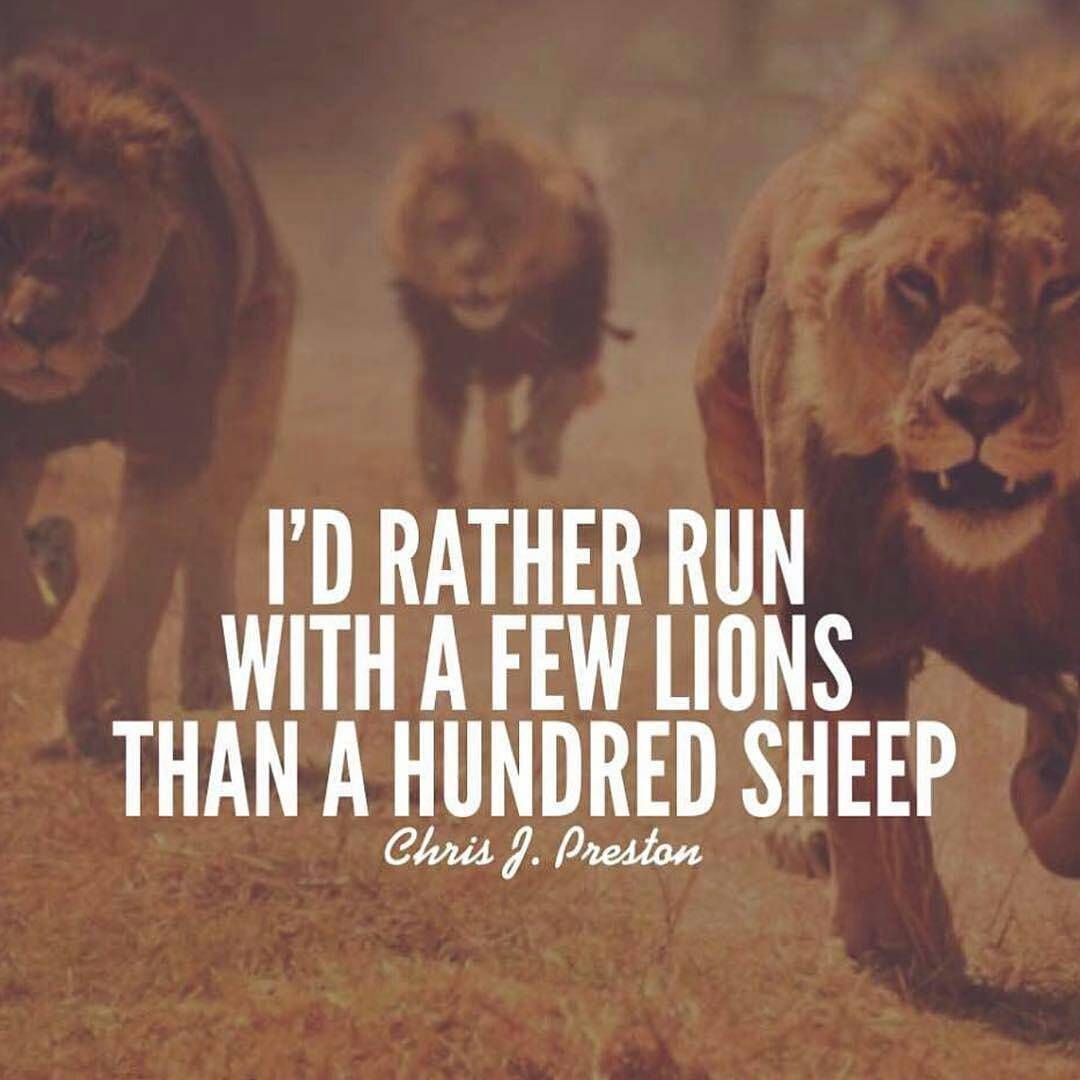 Coach_Griffin32's tweet photo. Had a good practice this morning. In the lab on the hunt for mid year JUCO transfers and Portal transfers; checking out some film right now. On the hunt for game changers, leaders and dawgs. #GoCru #ChangingTheDNA #ChangingTheCulture #ChangingTheMindset https://t.co/ci0iN9mRX8