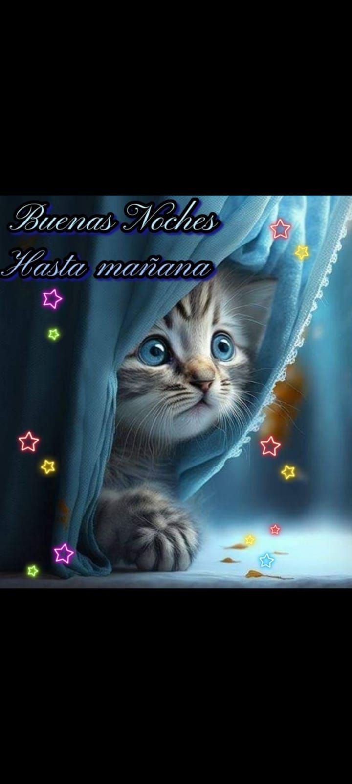 An animated gif of a cat stretching lazily, its body unfurling in a slow, graceful motion, with the title 'Gif De Gato De Buenas Noches Màs De 60 Stickers Y GIF Animados De'.