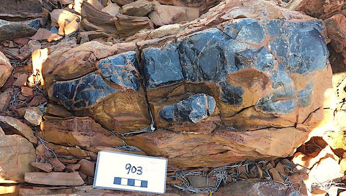 New Microfossils Suggest An Earlier Rise In Complex Life On Earth
astrobiology.com/2023/11/new-mi…  #Astrobiology #evolution