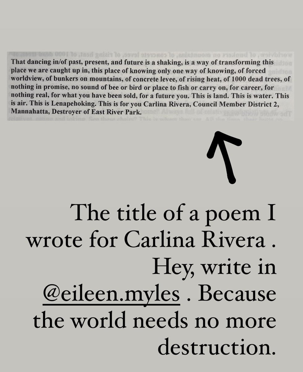 Write in @EileenMyles. The world needs no more destruction. @1000treesNYC