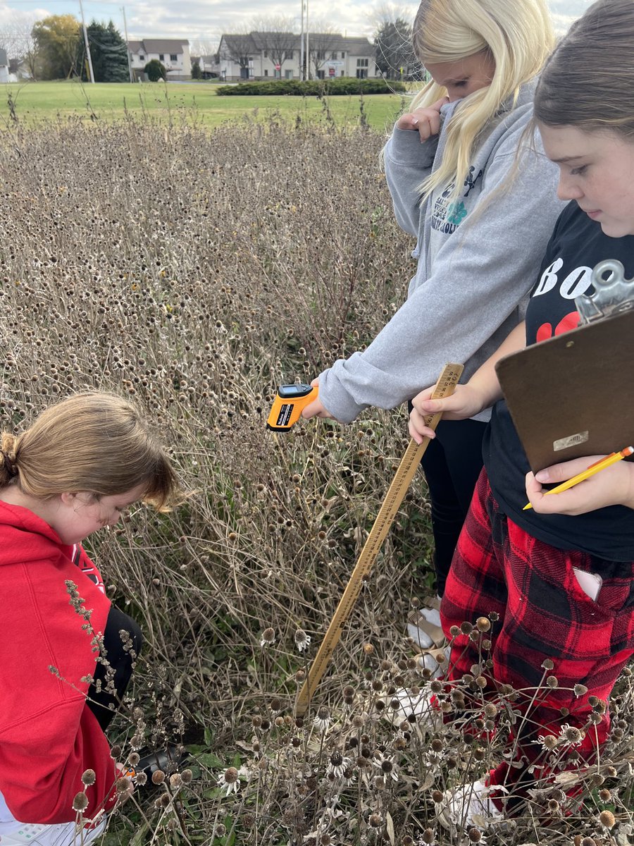 pjwilli@bgcs (@pjwillibgcs1) on Twitter photo Team Apollo working hard to collect real science data in the prairie. It was a perfect fall day. ❤️❤️❤️❤️<a href="/JAnderEdu/">Jodi Anderson</a> <a href="/ERadabaughBGCS/">Eric Radabaugh</a> <a href="/mcintosh0331/">Elizabeth McIntosh</a> Team Apollo working hard to collect real science data in the prairie. It was a perfect fall day. ❤️❤️❤️❤️<a href="/JAnderEdu/">Jodi Anderson</a> <a href="/ERadabaughBGCS/">Eric Radabaugh</a> <a href="/mcintosh0331/">Elizabeth McIntosh</a>