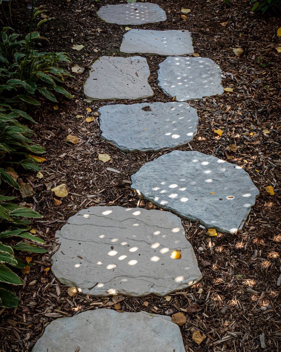 Coming to a backyard near you! (Or your backyard 😉) 🏡 Make a stroll through your garden more reliable and stable with our Superior Steppers! 🚶‍♀️🚶‍♂️🌿

#BrownsConcrete #BuiltWithBrowns #SuperiorSteppers #Landscaping #QualityDesigns