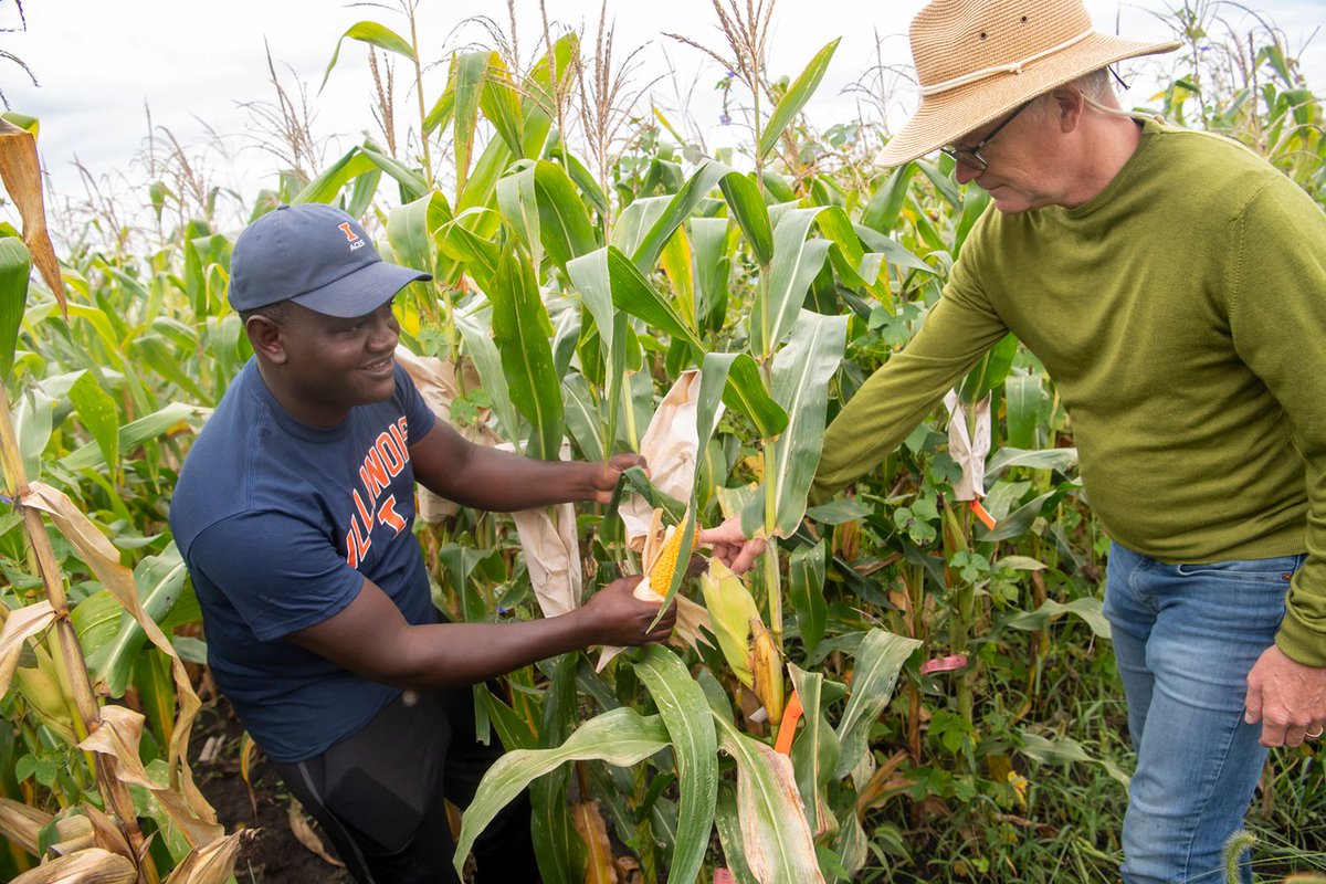 The Crop Sciences department at UIUC is currently hiring a Senior Research Specialist to oversee the management of corn and soybean trials as part of the CPSC Variety Testing program. We are proud to be an Equal Opportunity, Affirmative Action employer. buff.ly/49pfmpA