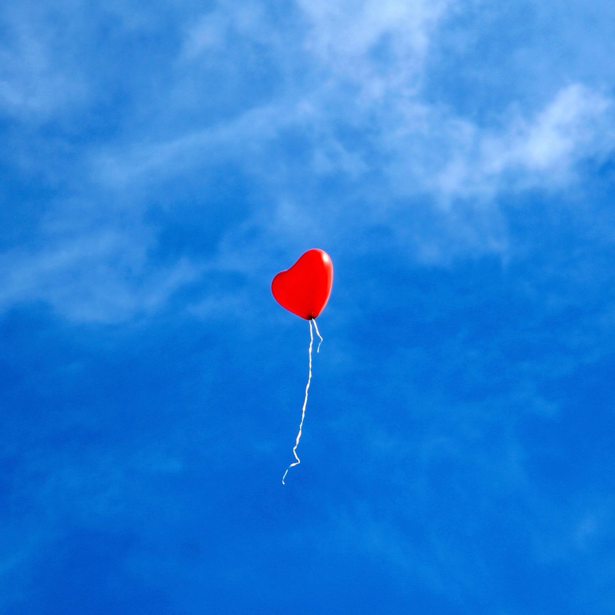 SingularSet's tweet photo. "En SingularSet, elevamos tus momentos más queridos hacia el cielo. 🎈❤️ Como este globo, tus celebraciones alcanzarán nuevas alturas, llenas de amor y sueños. #SingularSet #decoracionbodas #decoracioneventos #bodasespaña #decoracionfiestas  #detallesqueenamoran #seatingplan https://t.co/1CfEkxJmAS