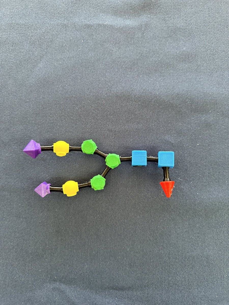 I built my first glycan Lego! @gly_gen #sfg2023