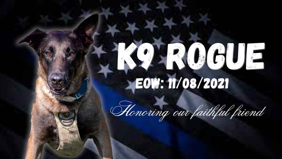 🐾💙Never Forgotten💙🐾
Hard to believe 2 years ago today we lost our loyal friend, K9 Rogue.
Sending big love to K9 Officer Gower and his family as we remember and honor their faithful companion.  Thank you for your years of service and dedication, Rogue.
We miss you always.