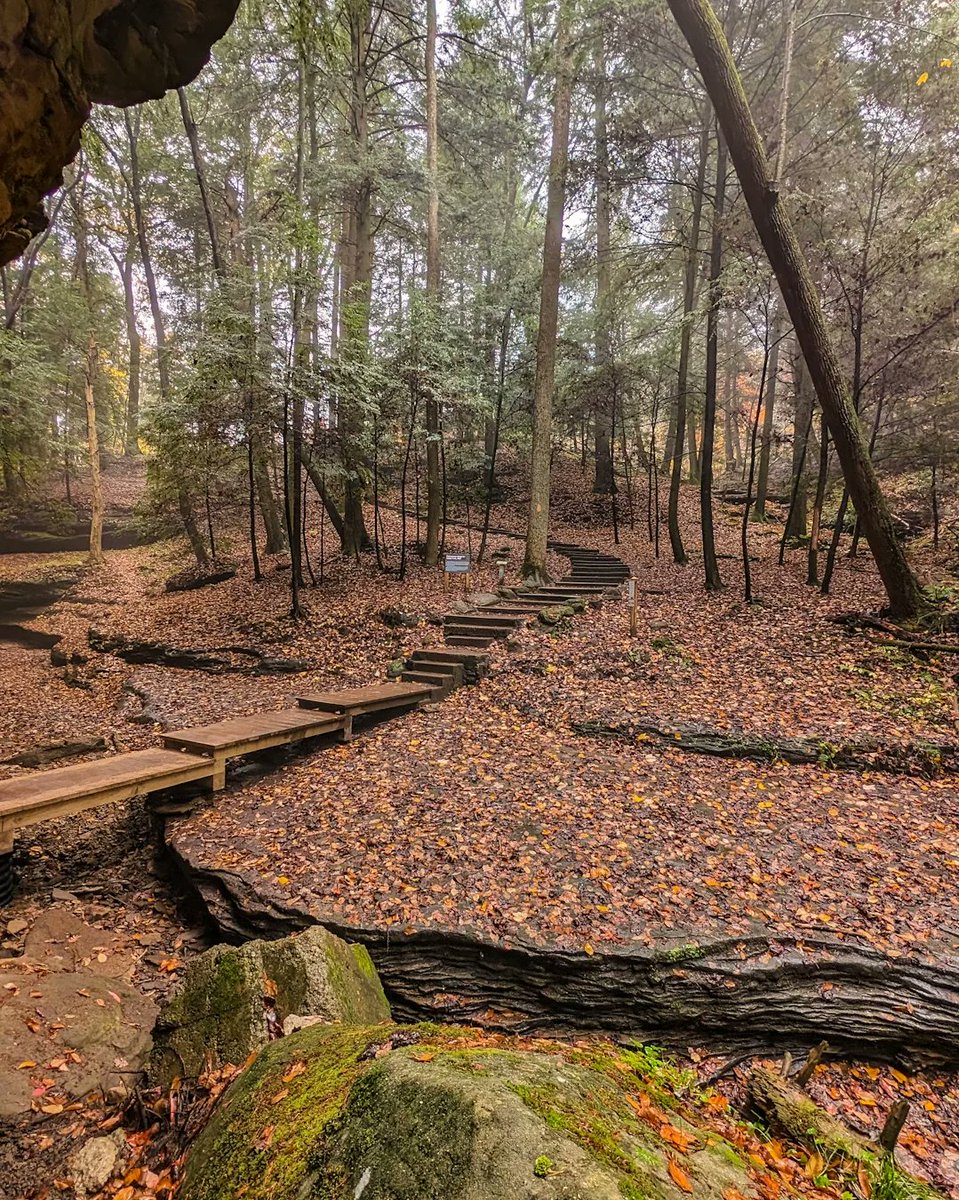 CasualTrekkers's tweet photo. Cedar Falls Trail, Hocking Hills SP
#ohiostateparks #ohiohasit #casualtrekkers #ohiofindithere #getawayohio #ohioexplored #myohiofun #exploreohio #ohiotravel #hikeohio #ohiotheheartofitall #hiking #hikingtrails #hockinghills #oldmanscave #fallcolors #autumnvibes #stairs #steps https://t.co/HA5MRwvC0h