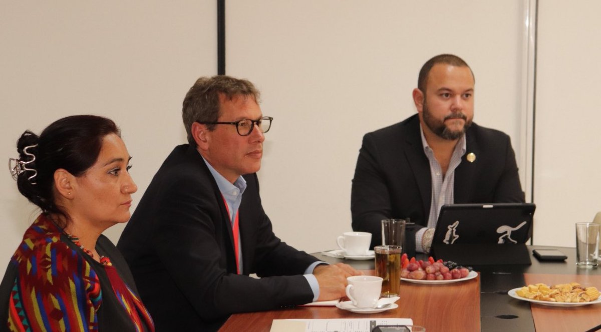 EcuadorMAE's tweet image. 💡El proyecto #BioDiversa reunirá diferentes experiencias museográficas, tecnológicas, culturales y científicas para adultos y niños que exploran la historia alrededor de la biodiversidad, por lo que esta propuesta será un puente entre la ciudadanía, la naturaleza y la vida.💚👨‍👩‍👧