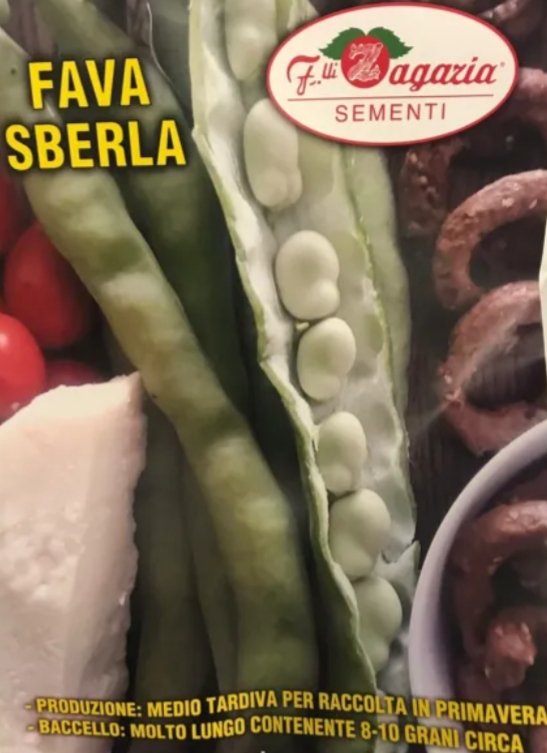 AgricoltCanfora's tweet photo. Fratelli Canfora #AGRICOLTURA
Fava Sberla🌱
Indirizzo: Via Petromeo, 29b, 89029 #Taurianova (RC).
Telefono: 0966 610239. https://t.co/kaPKY7gEBP