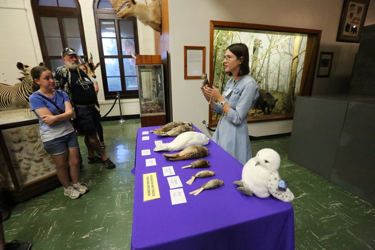 Please RT The wonderful natural history museum where I work , the @LSU_MNS, is looking for an Outreach Coordinator - details here lsu.wd1.myworkdayjobs.com/LSU/job/0119-M…