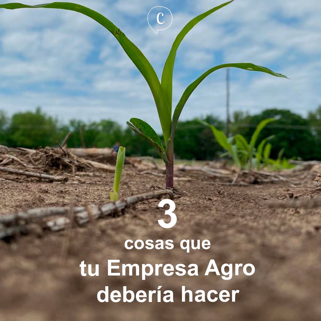 ConiMackrey's tweet photo. 👉🏼Después de haber entrevistado 15 empresas en el sector agropecuario, llegué a la conclusión que consideran a la comunicación como esencial, sin embargo en ese momento (2017) no realizaban ninguna acción para mejorar su comunicación. 

#ComunicandoElAgro https://t.co/FFCnCsasdh
