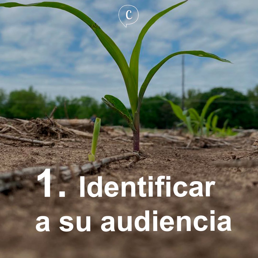 ConiMackrey's tweet photo. 👉🏼Después de haber entrevistado 15 empresas en el sector agropecuario, llegué a la conclusión que consideran a la comunicación como esencial, sin embargo en ese momento (2017) no realizaban ninguna acción para mejorar su comunicación. 

#ComunicandoElAgro https://t.co/FFCnCsasdh