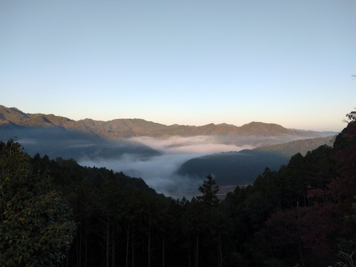 tsuwanok's tweet image. 雲海と紅葉と。
今年は雲海出る日が少ないですね…
#津和野城跡