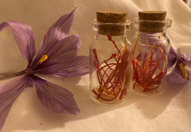 GarddEnfys's tweet photo. Lovely afternoon in the garden planting daffodils in the sun and harvesting our Saffron Spice.
Saffron threads are the stigmas taken from the flower of the crocus sativus, a special variety of the crocus.
Saffron has long been used for its medicinal properties. https://t.co/aksU3dCvVR