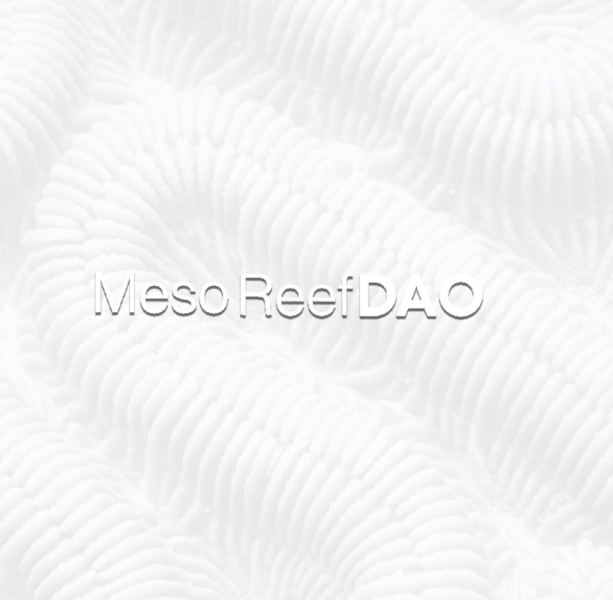 MesoReefDAO tweet picture