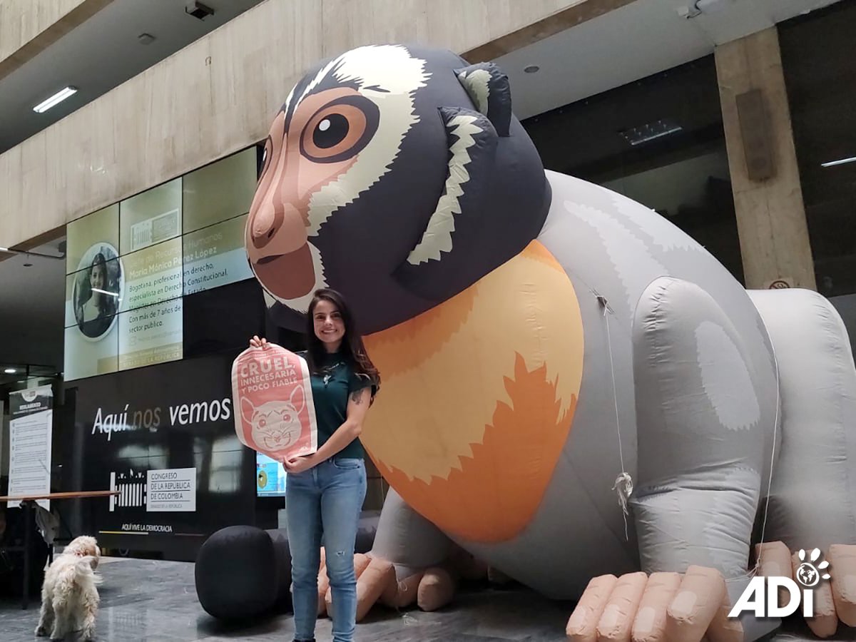 AnimalDefenders's tweet photo. CAMPAIGN AGAINST OWL MONKEY EXPERIMENTS IN COLOMBIAN CONGRESS. ADI’s team were inside Congress for three days with our inflatable #owlmonkey highlighting the country’s brutal #malaria experiments. Information was distributed and videos were screened. https://t.co/iHhNaL0whH