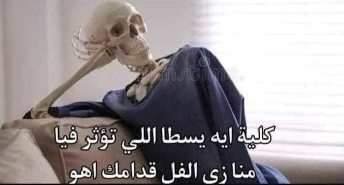 ShahdHaiba's tweet photo. https://t.co/jzvGEPzvtn
