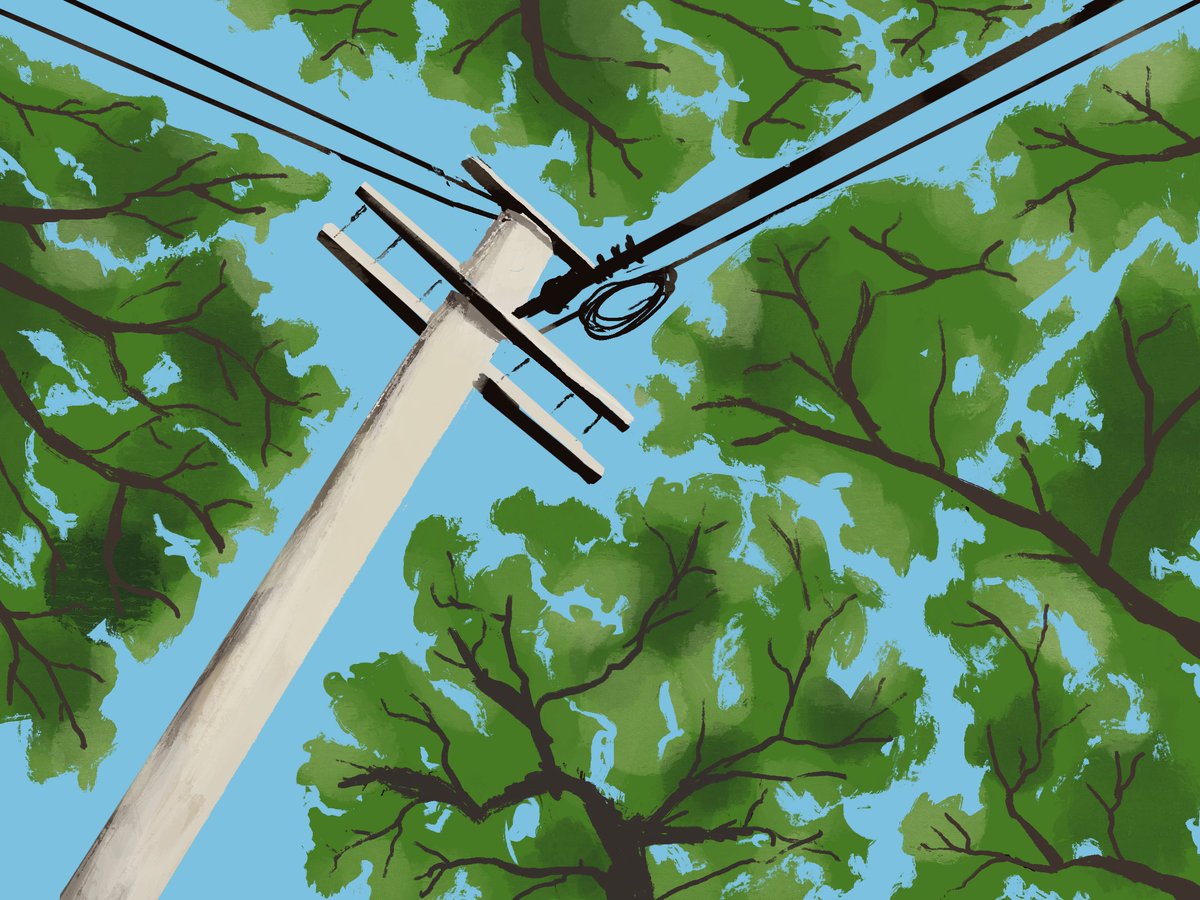 Vidathari tweet media