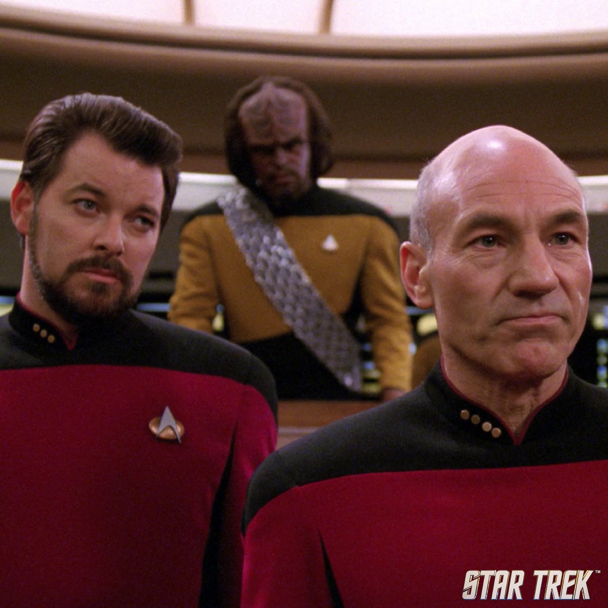 StarTrek's tweet photo. Which senior officer position would you like to hold on a starship? ✨ #StarTrek
- Commanding Officer
- First Officer
- Opperations Manager
- Chief Engineer
- Chief of Security
- Chief Medical Officer
- Chief Science Officer https://t.co/itBCzkbbRD