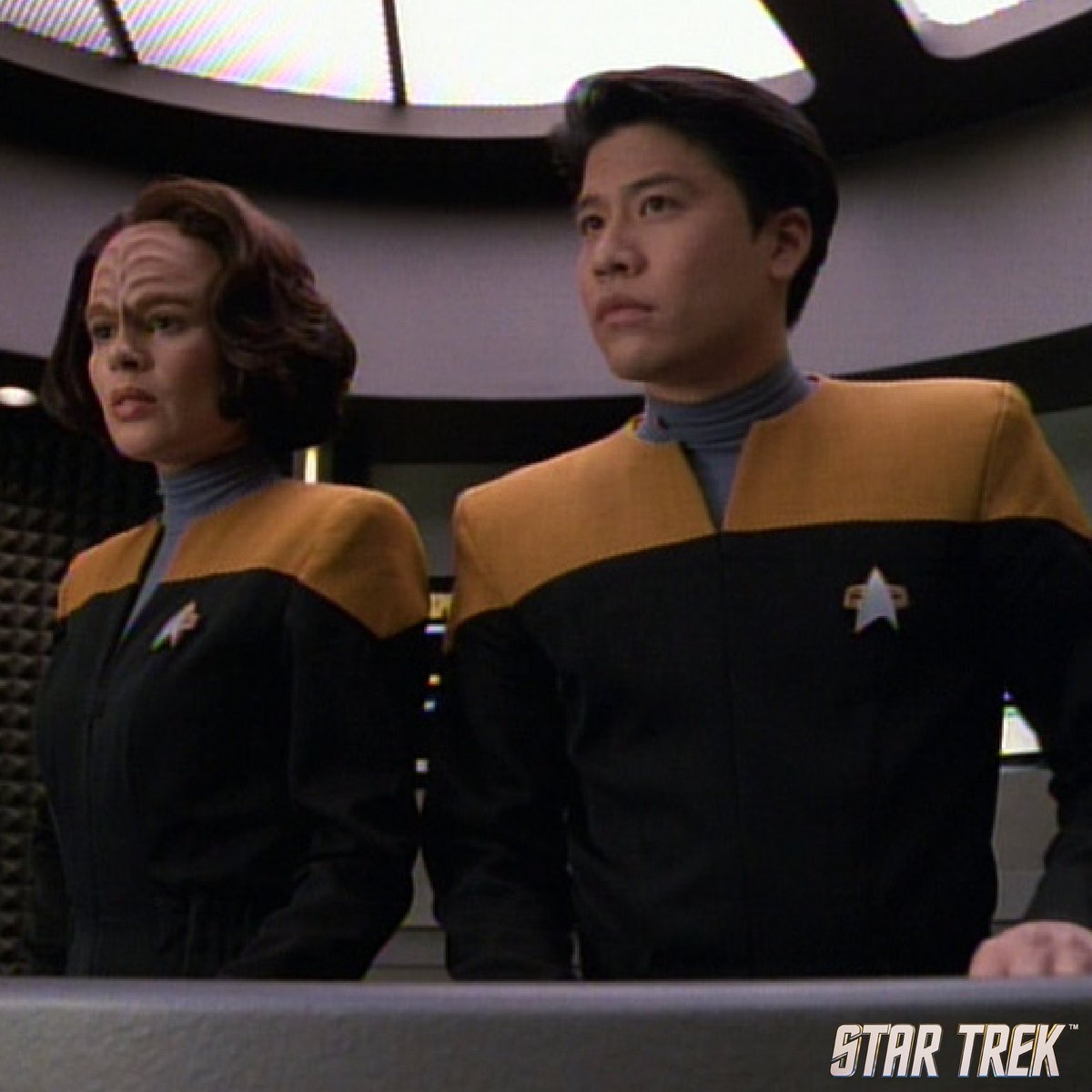 StarTrek's tweet photo. Which senior officer position would you like to hold on a starship? ✨ #StarTrek
- Commanding Officer
- First Officer
- Opperations Manager
- Chief Engineer
- Chief of Security
- Chief Medical Officer
- Chief Science Officer https://t.co/itBCzkbbRD